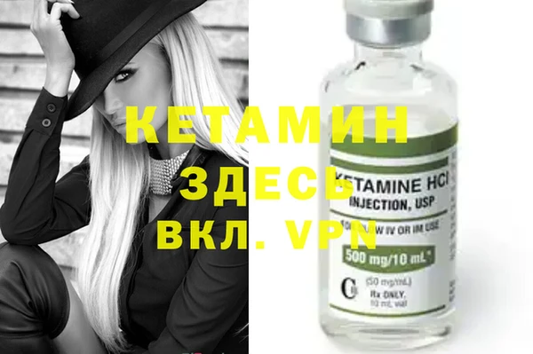 индика Белокуриха