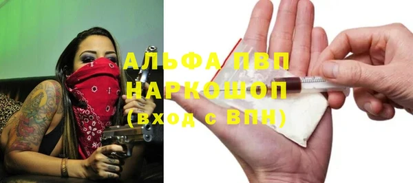 индика Белокуриха