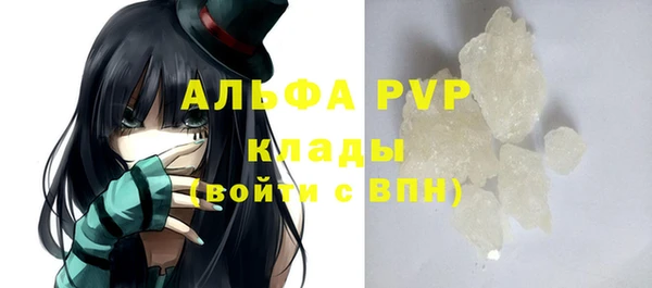 индика Белокуриха