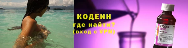 индика Белокуриха