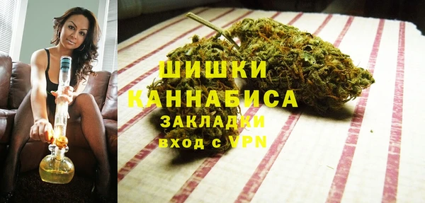 индика Белокуриха