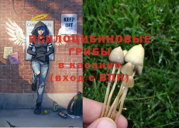 mdpv Белоозёрский